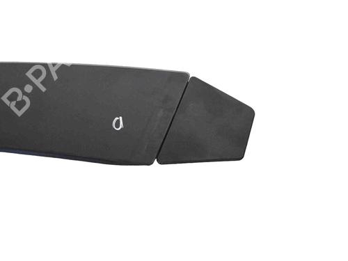 Door moulding trim TESLA MODEL 3 (5YJ3) EV Performance AWD | BP30130415C150 