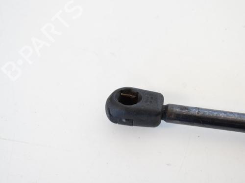 Tailgate lift support LAND ROVER RANGE ROVER SPORT I (L320) 2.7 D 4x4 | BP14768663C138 