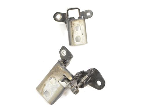 Hinge/Door check strap VW ROUTAN 3.6 | BP14782248C146 