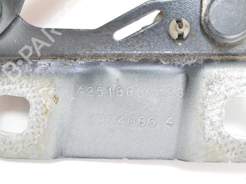 Hinge/Door check strap MERCEDES-BENZ R-CLASS (W251, V251) R 320 CDI 4-matic (251.022, 251.122) | BP14809018C146 