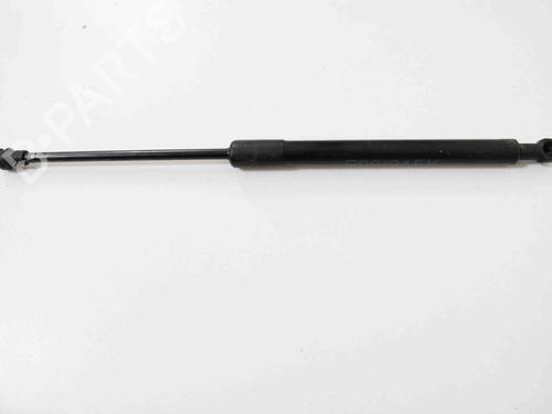 Used Hood lift support BMW 3 (E90) 320 d (163 hp) 14814960