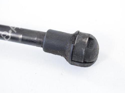 Hood lift support BMW 3 Coupe (E92) 335 i | BP14816717C139 