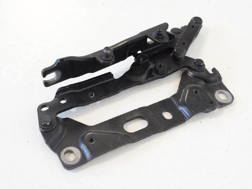 Hinge/Door check strap BMW 7 (F01, F02, F03, F04) 730 d | BP14765984C146 