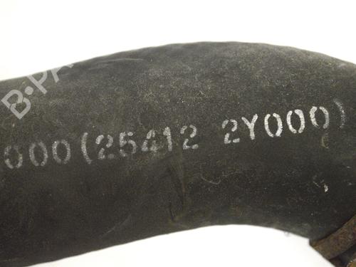 Pipe HYUNDAI ix35 (LM, EL, ELH) 1.7 CRDi | BP14787857M125 