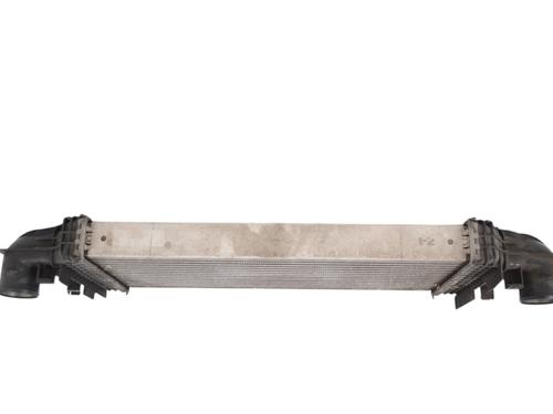 Intercooler MERCEDES-BENZ M-CLASS (W164) ML 320 CDI 4-matic (164.122) | BP22448494M30 