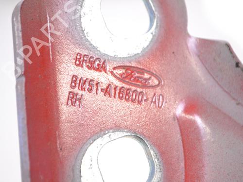 Hinge/Door check strap FORD FOCUS III 1.5 TDCi | BP14783817C146 