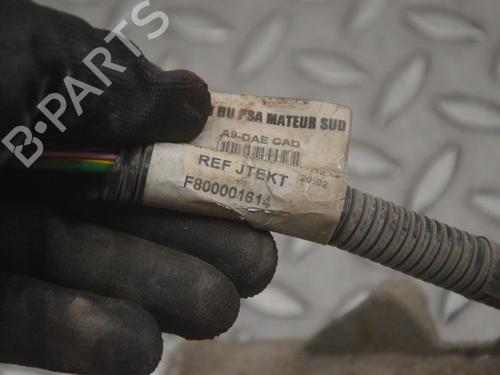 Steering rack PEUGEOT 208 I (CA_, CC_) 1.2 VTI 82 | BP28101994M22 