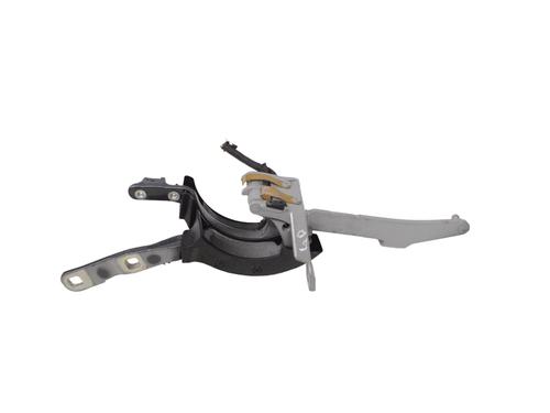 Hinge/Door check strap BMW 5 Touring (F11) 530 d | BP14802477C146 