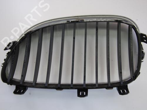 Grille BMW 5 (E60) 520 d | BP19941538C40 