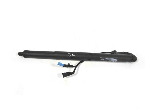 Used Tailgate lift support BMW X5 (F15, F85) xDrive 40 d (313 hp) 14817460