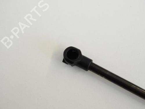 Tailgate lift support BMW 3 Coupe (E92) M3 | BP14811275C138 