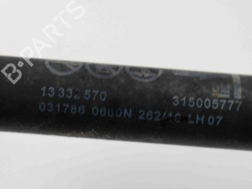 Tailgate lift support OPEL INSIGNIA A (G09) 2.0 CDTI (68) | BP19941019C138 