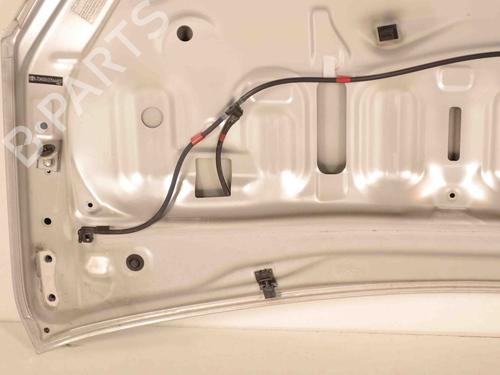 Hood TOYOTA PRIUS (_W3_) 1.8 Hybrid (ZVW30) | BP29730248C1