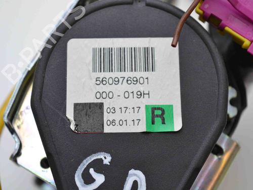 Rear right seatbelt VW PHAETON (3D1, 3D2, 3D3, 3D4, 3D6, 3D7, 3D8, 3D9) 3.0 V6 TDI 4motion | BP7495608I28