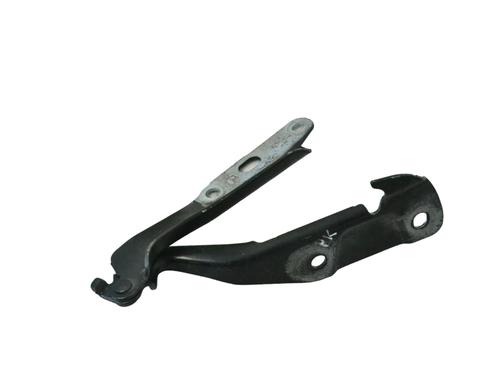 Hinge/Door check strap JAGUAR S-TYPE II (X200) 2.7 D | BP16645233C146 