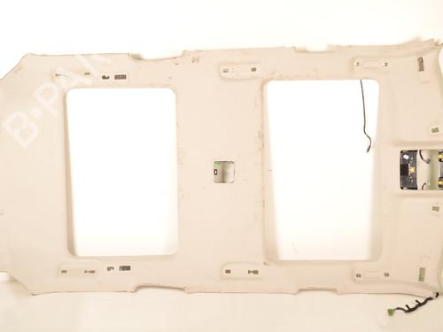 Used Interior roof LAND ROVER DISCOVERY V (L462) 2.0 Sd4 4x4 (241 hp) 14769693