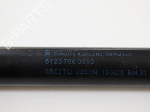 Hood lift support BMW 3 (E90) 320 d | BP14814960C139 
