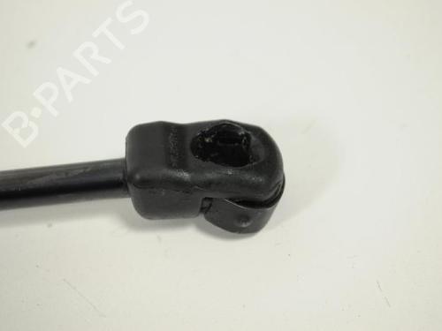 Hood lift support BMW X5 (F15, F85) xDrive 40 d | BP14815716C139 