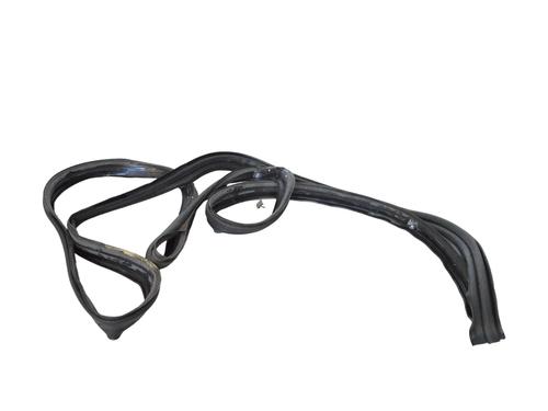 Rubber door seal TESLA MODEL X (5YJX) P100D AWD | BP18431485C142 