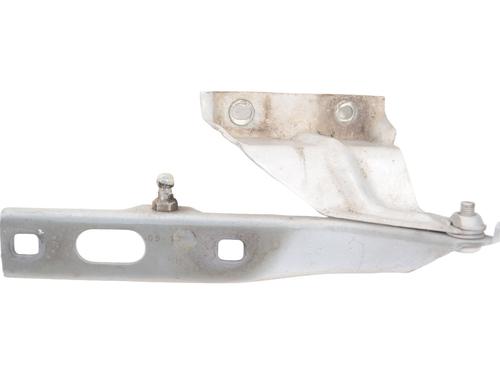 Used Hinge/Door check strap AUDI Q5 (8RB) 2.0 TDI quattro (170 hp) 19285402