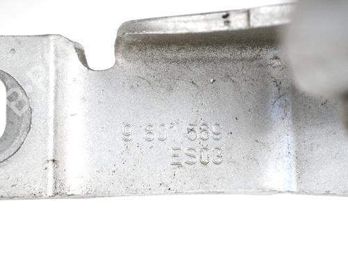 Hinge/Door check strap MINI MINI COUNTRYMAN (R60) Cooper D ALL4 | BP14769733C146 