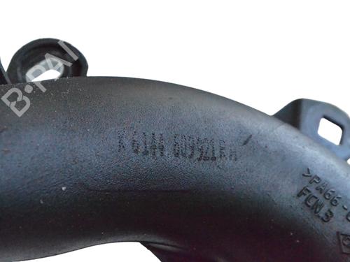 Pipe NISSAN JUKE (F15) 1.2 DIG-T | BP13934731M125 