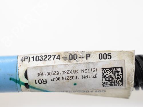 Cable TESLA MODEL S (5YJS) P100D AWD | BP19942858E12 
