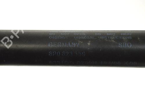 Hood lift support AUDI A3 (8P1) S3 quattro | BP14787957C139 