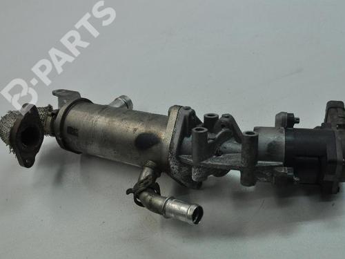 Egr LAND ROVER DISCOVERY III (L319) 2.7 TD 4x4 | BP7488385M69