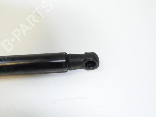 Tailgate lift support BMW 3 Coupe (E92) 318 i | BP28812716C138 