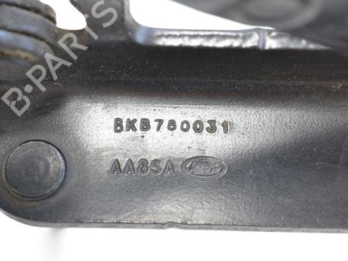 Hinge/Door check strap LAND ROVER RANGE ROVER SPORT I (L320) 3.0 D 4x4 | BP14811672C146 
