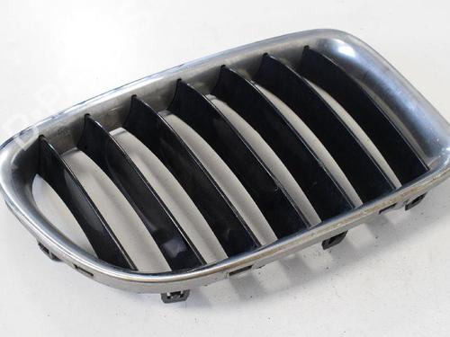 Used Grille BMW X1 (E84) xDrive 20 d (184 hp) 14766615