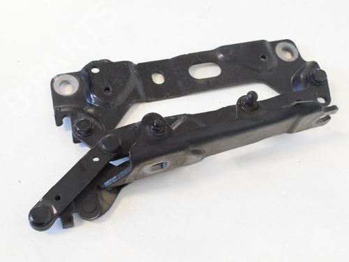Hinge/Door check strap BMW 7 (F01, F02, F03, F04) 730 d | BP14765984C146 