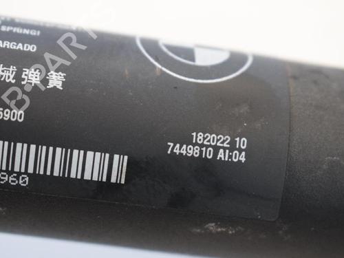 Tailgate lift support BMW X5 (F15, F85) xDrive 30 d | BP14767844C138 