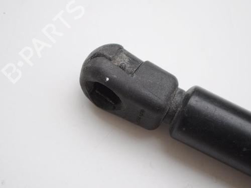 Hood lift support JAGUAR S-TYPE II (X200) 3.0 V6 | BP14798799C139 