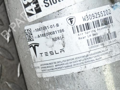 Left rear shock absorber TESLA MODEL S (5YJS) 85D AWD | BP19943091M18 