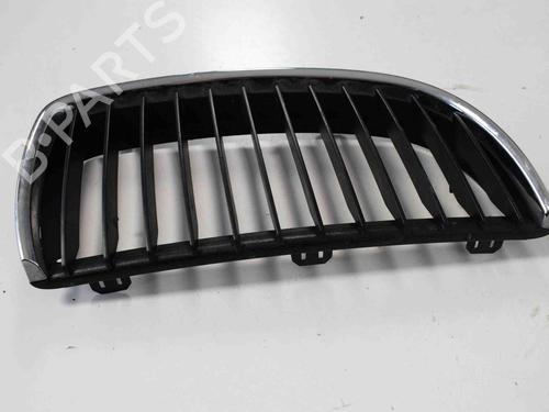 Grille BMW 3 (E90) 320 d | BP14817228C40 