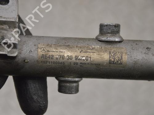 Injection rail MERCEDES-BENZ E-CLASS (W213) E 350 d (213.033) | BP12942916M98 