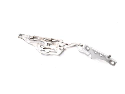 Hinge/Door check strap BMW X6 (E71, E72) M 50 d | BP14774398C146 