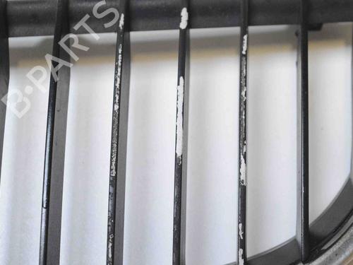 Grille BMW 3 (E90) 320 d | BP7753852C40 