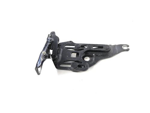 Hinge/Door check strap BMW X5 (E70) xDrive 30 d | BP14770330C146 