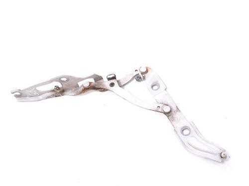 Hinge/Door check strap BMW 3 Coupe (E92) 330 d | BP14771071C146 