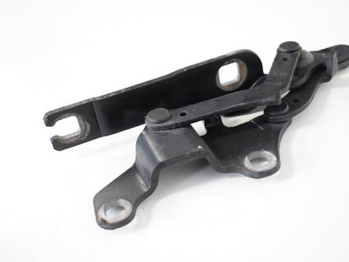 Hinge/Door check strap BMW 3 (E90) 318 i | BP14817380C146 