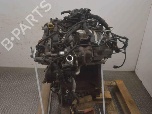 Used Engine FORD FIESTA VI Van 1.0 EcoBoost (140 hp) 29890594