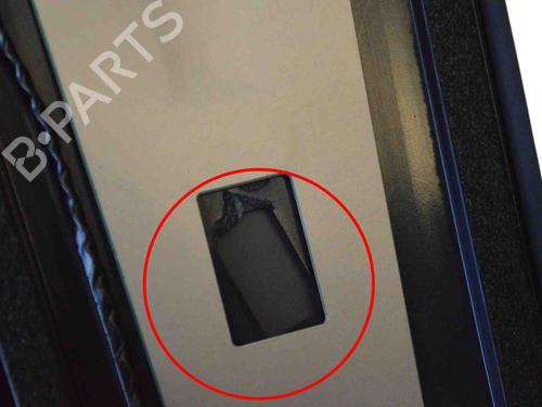 Door moulding trim TESLA MODEL 3 (5YJ3) EV Performance AWD | BP30130415C150 