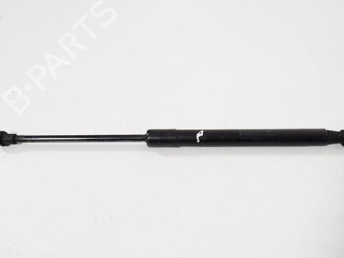 Hood lift support BMW 1 (E87) 118 d | BP14816252C139 