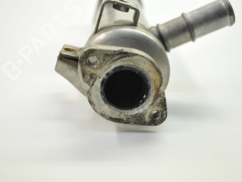 Egr JAGUAR X-TYPE I (X400) 2.0 D | BP19941875M69 