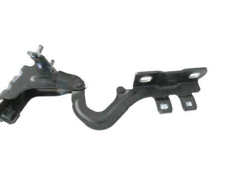 Hinge/Door check strap BMW 6 Convertible (F12) 640 d | BP16021654C146 