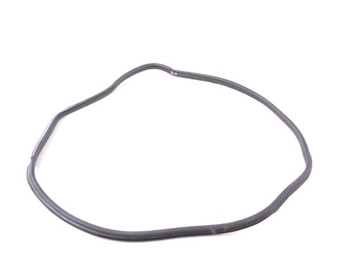 Used Rubber door seal BMW X6 (E71, E72) M 50 d (381 hp) 14774413