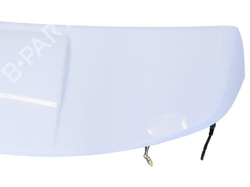 Rear spoiler LAND ROVER RANGE ROVER EVOQUE (L538) 2.0 D 4x4 | BP18745784C96 